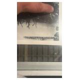 1903 horse race panoramic photo reproduction