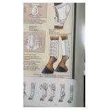 equestrian equipment poster