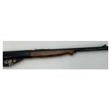 Vintage Daisy Air Rifle