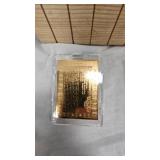 23kt Gold Foil McGwire, Joe Montana, Dan Marino, Cal Ripkin Jr, and Randy Moss Card