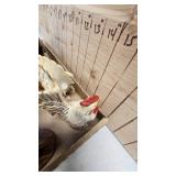 Peter Rabbit S/P Shakers, Rooster, Chicken, Bunny Figurines