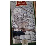 Miller High Life Mirror-Wildlife Series-Snowy Owl-15x26