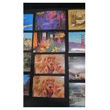 Vintage Postcard Collection