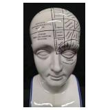 Porcelain Phrenology Head Statue - A replica of the original L.N. Fowler bust ( M&M Resources )