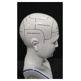 Porcelain Phrenology Head Statue - A replica of the original L.N. Fowler bust ( M&M Resources )