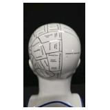 Porcelain Phrenology Head Statue - A replica of the original L.N. Fowler bust ( M&M Resources )