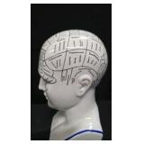 Porcelain Phrenology Head Statue - A replica of the original L.N. Fowler bust ( M&M Resources )