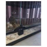 Rectangular Glass Reptile Terrarium/Enclosure. For snakes, turtles, lizards, etc.
