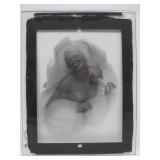 Original Vintage 1950