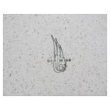 Large Lot of Vintage RED WING Pottery Dinnerware