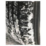 2004 Subaru Forester AWD