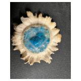 Seashells & Painted Heart Dish - Moose Antler Fossil, Moose Fossil Belt Buckle, Fossil Tooth