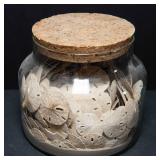 Collection of Sand Dollars and Starfish