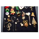 Cabin Jewelry Box and Brooch Collection