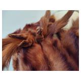 Vintage Mink Fur Stole