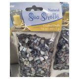 Large Shell Collection