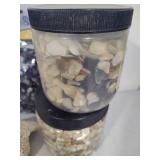 Large Shell Collection