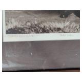 "Osborn Collection" Photography by LA Brown (c.1982)