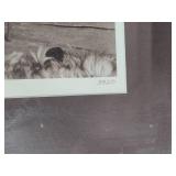 "Osborn Collection" Photography by LA Brown (c.1982)