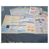 4 Packs of nursing quick study lami...