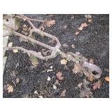 Antique all metal Horse drawn singl...