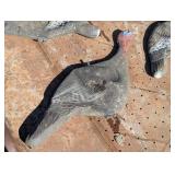 Four amazing Plastic/Rubber Turkey Decoys