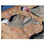 Four amazing Plastic/Rubber Turkey Decoys
