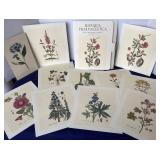 Folio of Botanica Pharmaceutica Prints