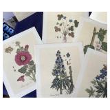 Folio of Botanica Pharmaceutica Prints