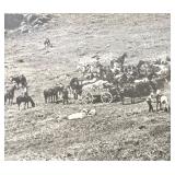 Pair of Antique Old West Photos