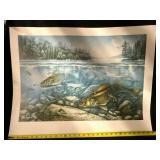 Harvest Moon Walleye 2 by Jon Q Wright Underwater Fish Scene - Limited Edition Print 73/1500