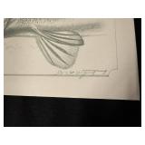 Walleye Pencil Study by Jon Q Wright Limited Edition Fish Print 23/200
