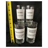 Science-Themed Glasses Set - Optimist, Philosopher & Quantum Physicist Quotes (Lot of 4)