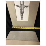 Lou Ferreri Signed Animal Portrait Prints - Pig, Giraffe & Rabbit (Lot of 3)