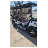 SDLANCH 6 Seat Golf Cart SDLGC100