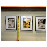 Framed Daisy Flower Wall Art - 3-Piece Set