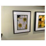 Framed Daisy Flower Wall Art - 3-Piece Set