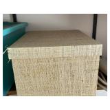 Rubbermaid Teal Storage Tote & Assorted Fabric & Cardboard Boxes