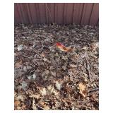 Garden Art Plant Stand, Watering Can Stake, Butterfly Stakes