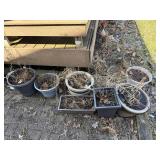 Assorted Outdoor Potted Plants & Planters - Dormant Garden Pots Collection