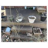 Assorted Outdoor Potted Plants & Planters - Dormant Garden Pots Collection