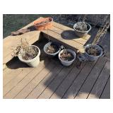 Assorted Outdoor Potted Plants & Planters - Dormant Garden Pots Collection