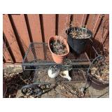 Metal Plant Cart - Two-Tier with Scrollwork on Wheels for Patio - cart only