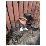 Metal Plant Cart - Two-Tier with Scrollwork on Wheels for Patio - cart only