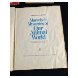 Disney Matching Game & Memory Card Game with Barbie & My Little Pony Books