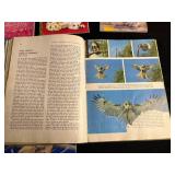 Disney Matching Game & Memory Card Game with Barbie & My Little Pony Books