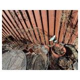 Assorted Garden Pots & Planters - Terracotta, Plastic & Metal Stands