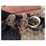 Assorted Garden Pots & Planters - Plastic, Ceramic & Metal, Various Sizes