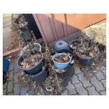 Assorted Garden Pots & Planters - Plastic, Ceramic & Metal, Various Sizes
