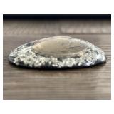 Encapsulated Buffalo Nickel